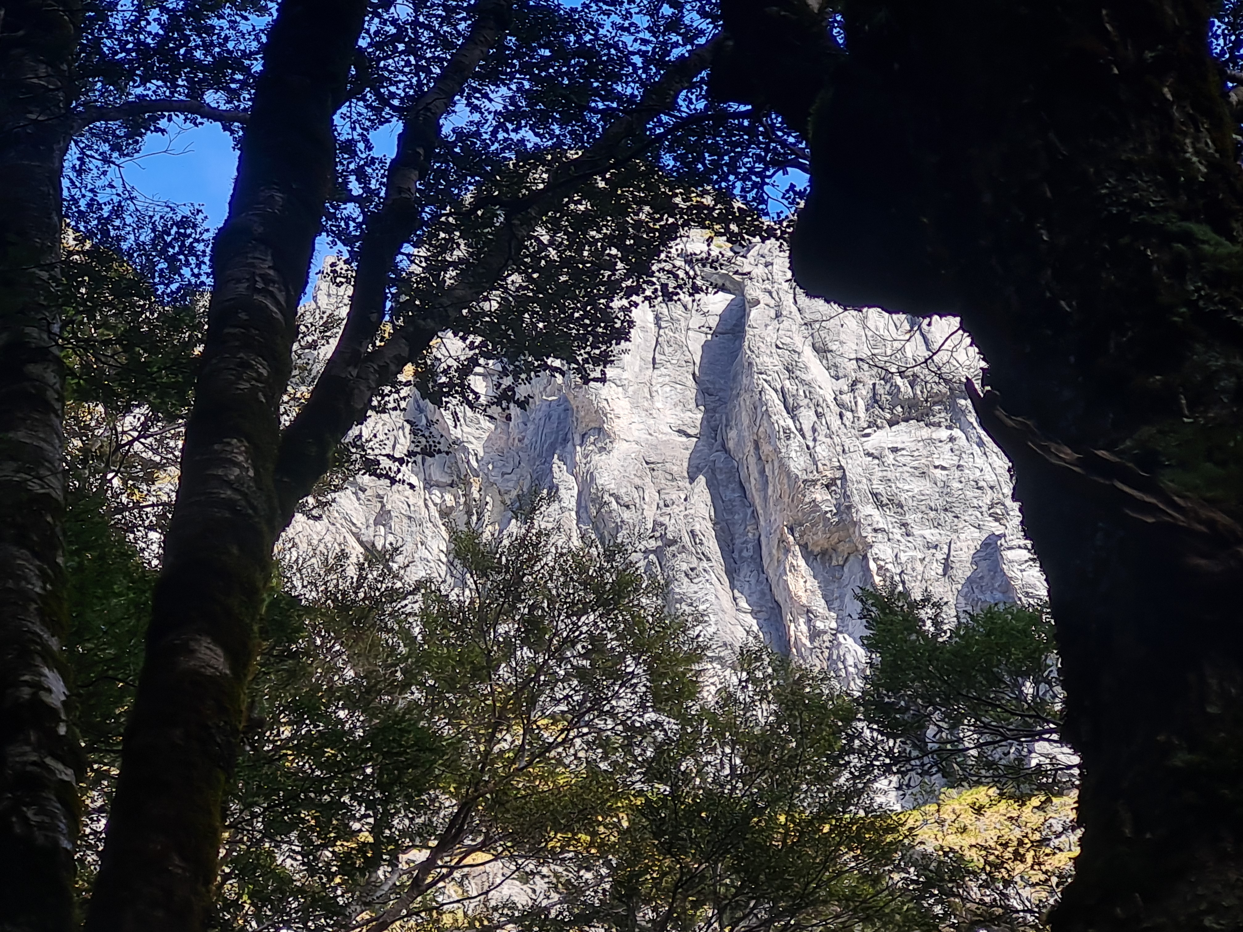 Tough love is the facecrack variation visible on the upper half of the cliff (The large corner to gain it is P1 of TWBB, which finishes up the shady corner to the left). 