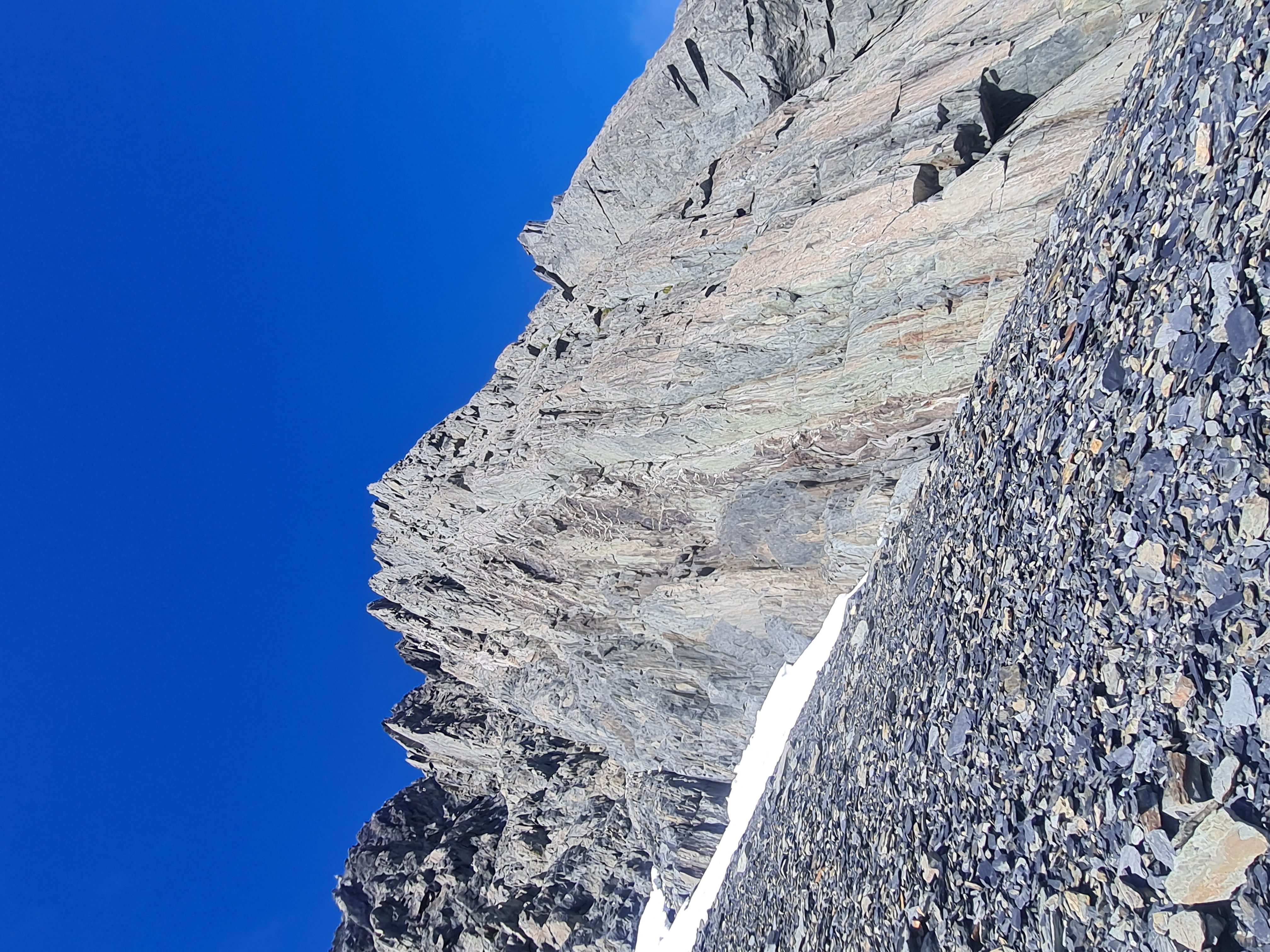 The central rib, revealing it's sharp, serrated nature.