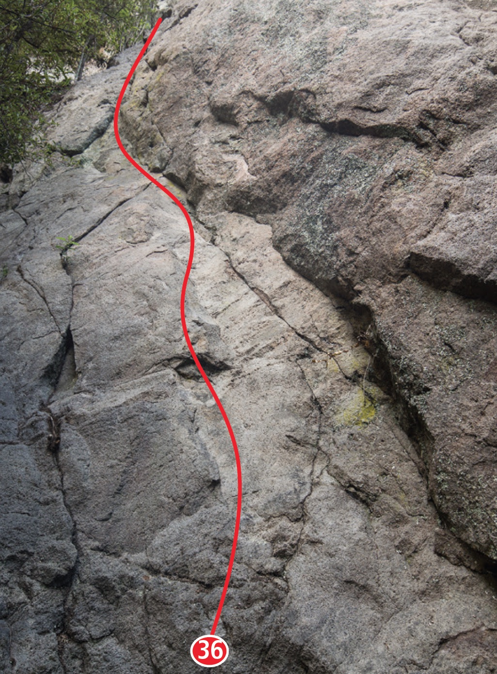 Taniwha Crackdown, Elephant Buttress, 2014