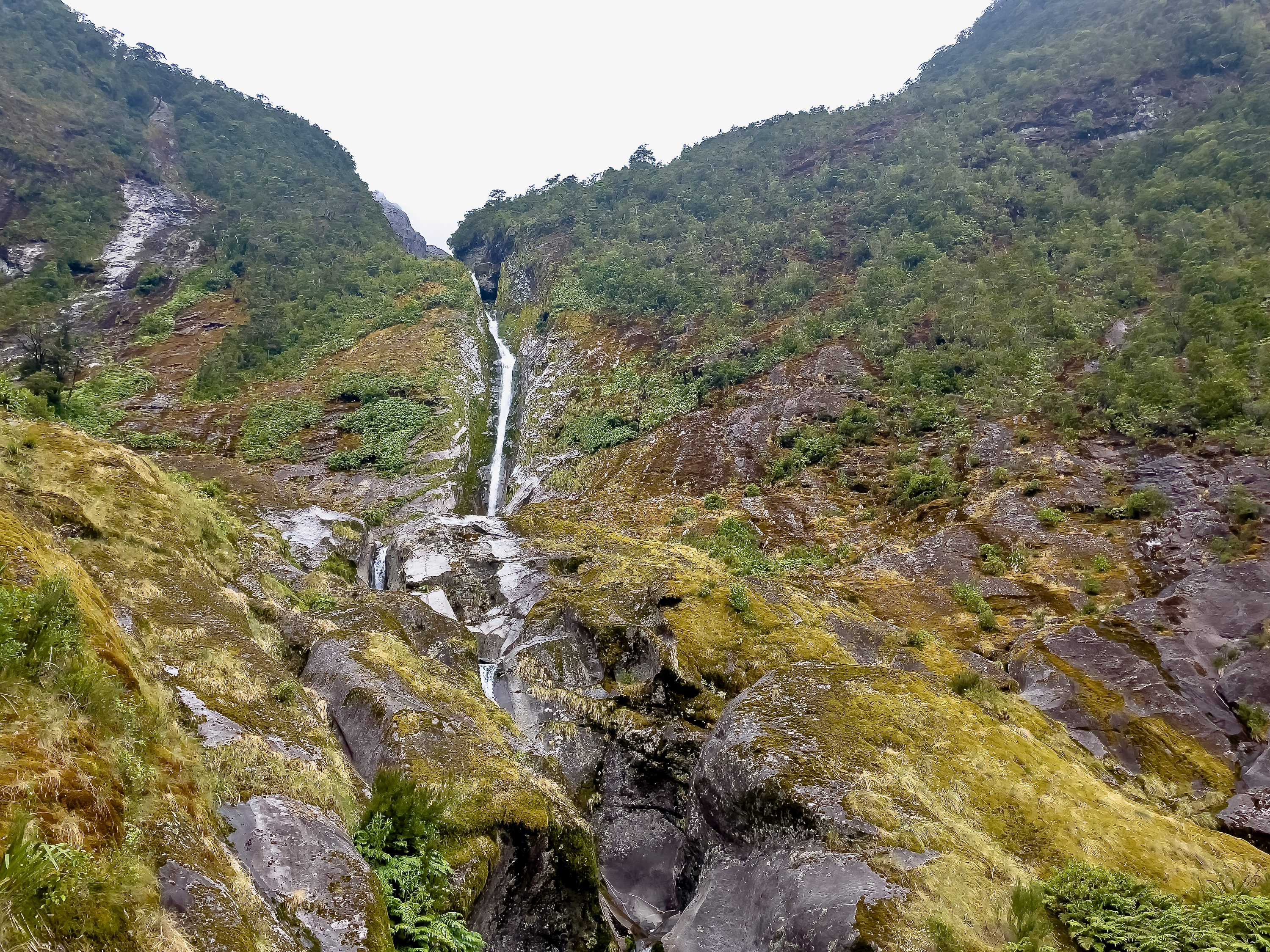 Descend through bush on true left side of waterfall