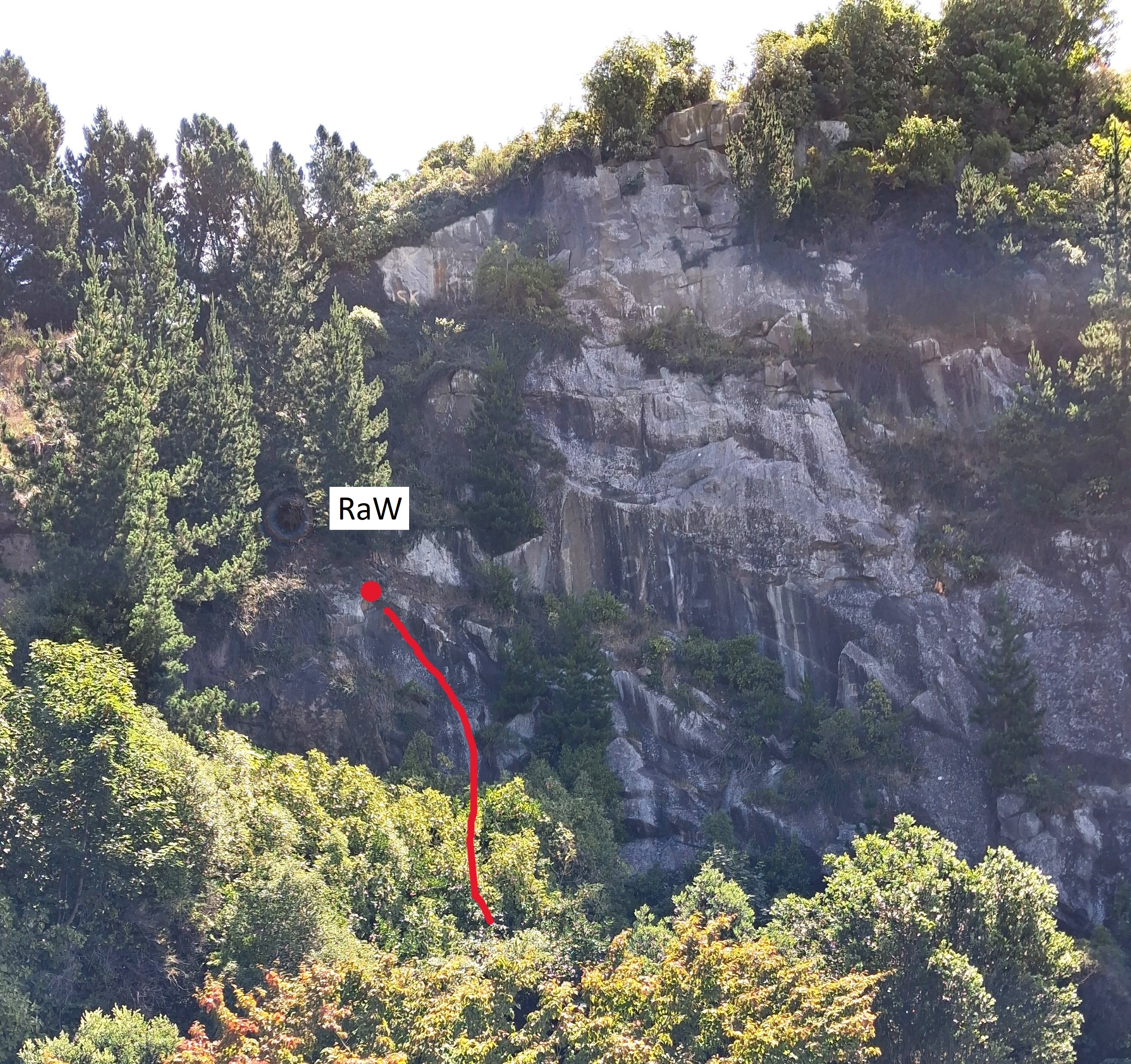 Reclaiming a Wilderness