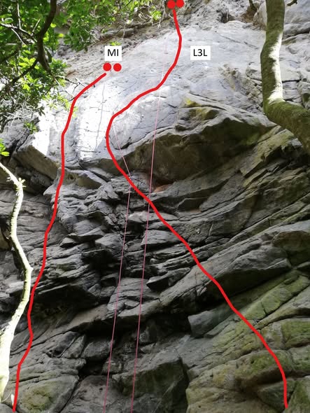 Pitch 1