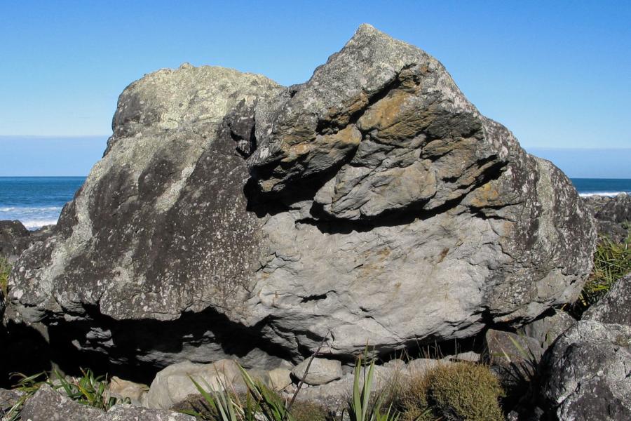 Boulder 5, The Back Blocks, Turakirae Head. Photo: Kristen Foley