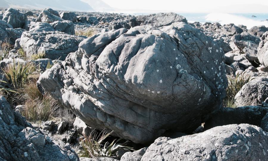 Boulder 6, Eastern Block, Turakirae