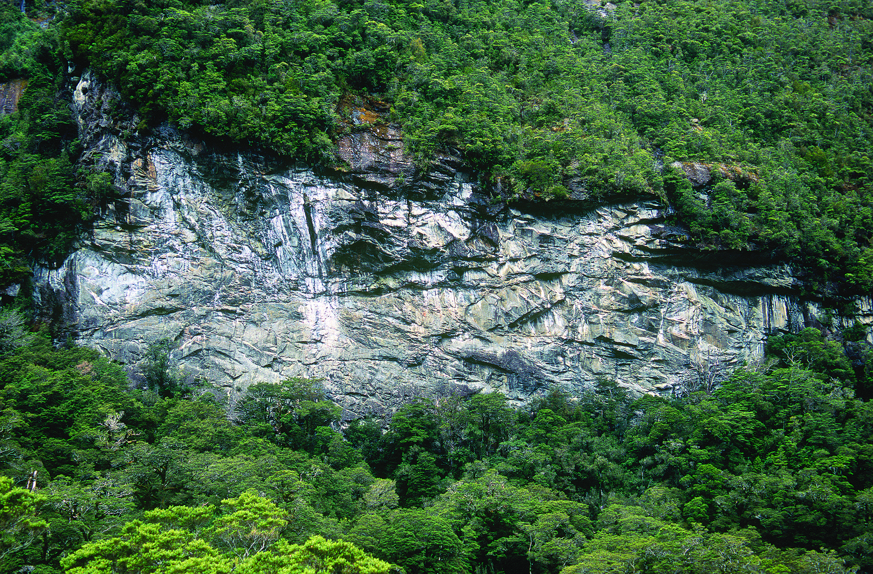 The Chasm Crag