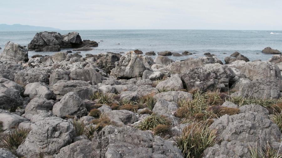 Eastern Block, Turakirae. Photo: Kristen Foley