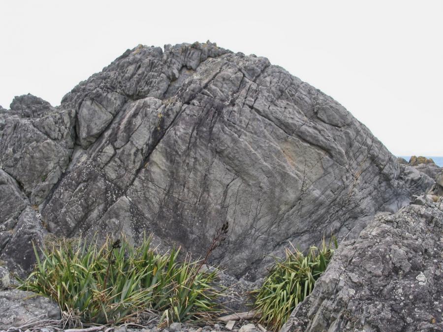 Flax Slab, The Point. Photo: Kristen Foley