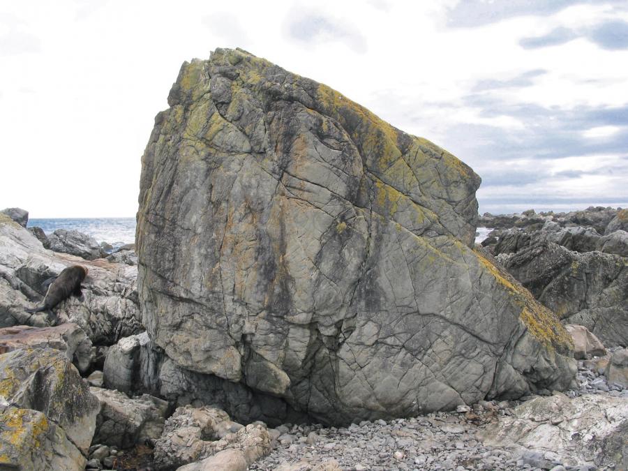Low Tide Boulder, The Point. Photo: Kristen Foley