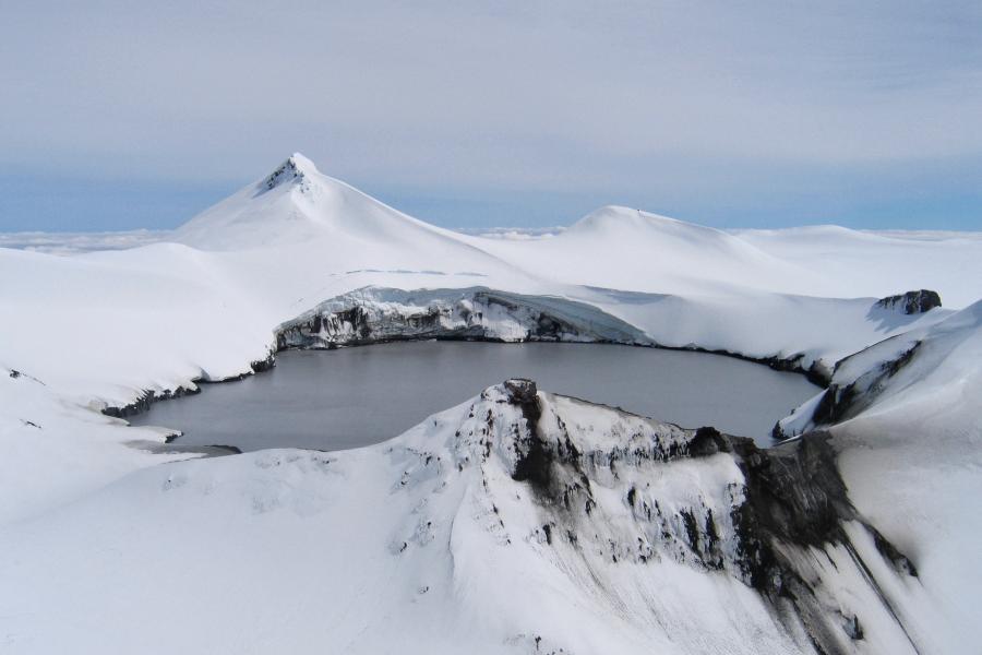 Paretetaitonga. Photo: Richard Thomson