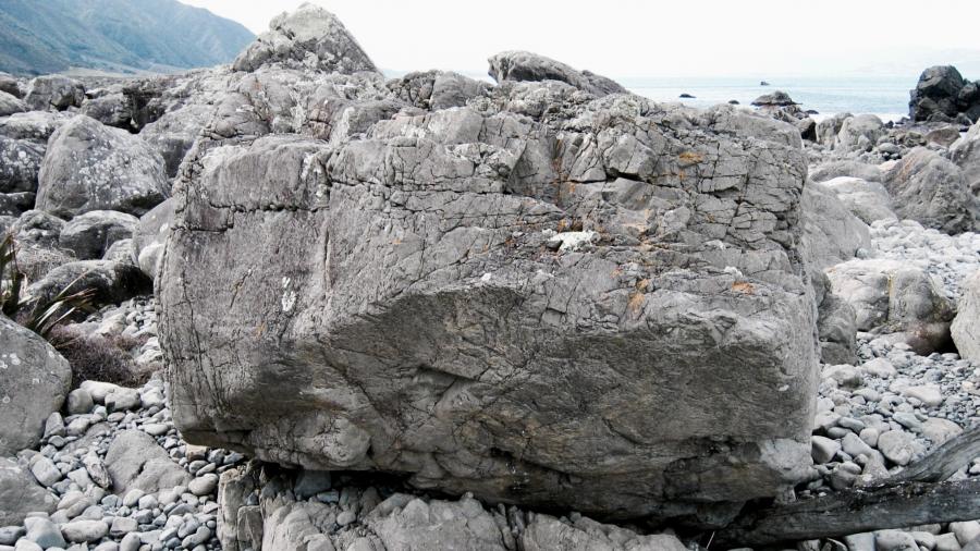 Petit Yoyou, Eastern Block, Turakirae