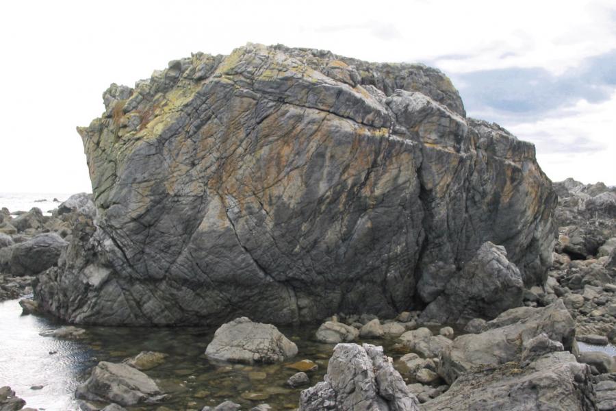 Seamonsters Wall, The Point. Photo: Kristen Foley
