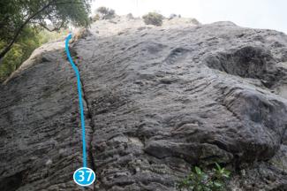 Elephant Hunting, Elephant Buttress, 2014