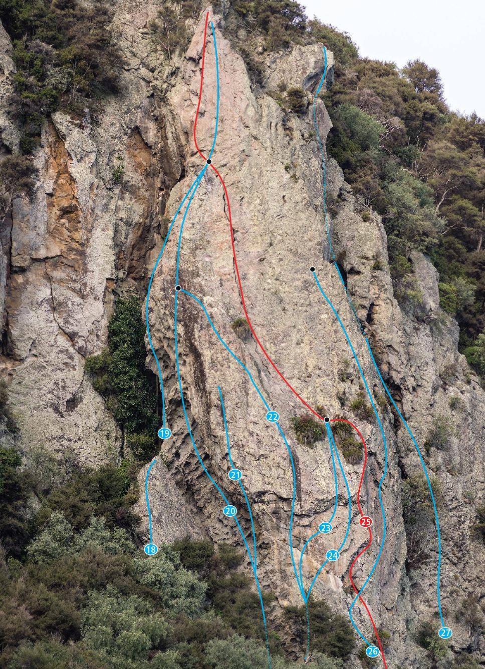 Lower Bluff, Kawakawa Bay, 2014 