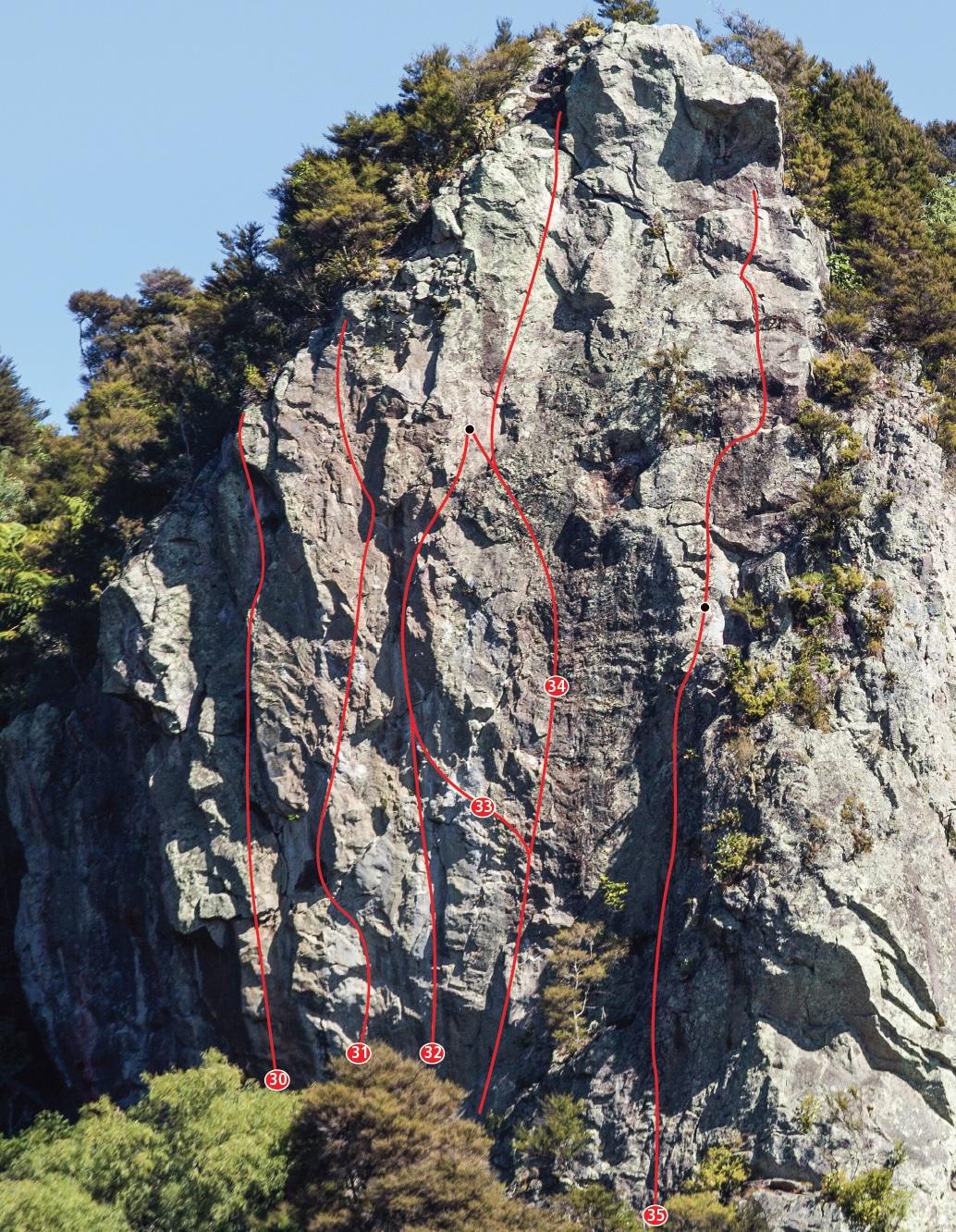 Upper Bluff, Kawakawa Bay, 2014